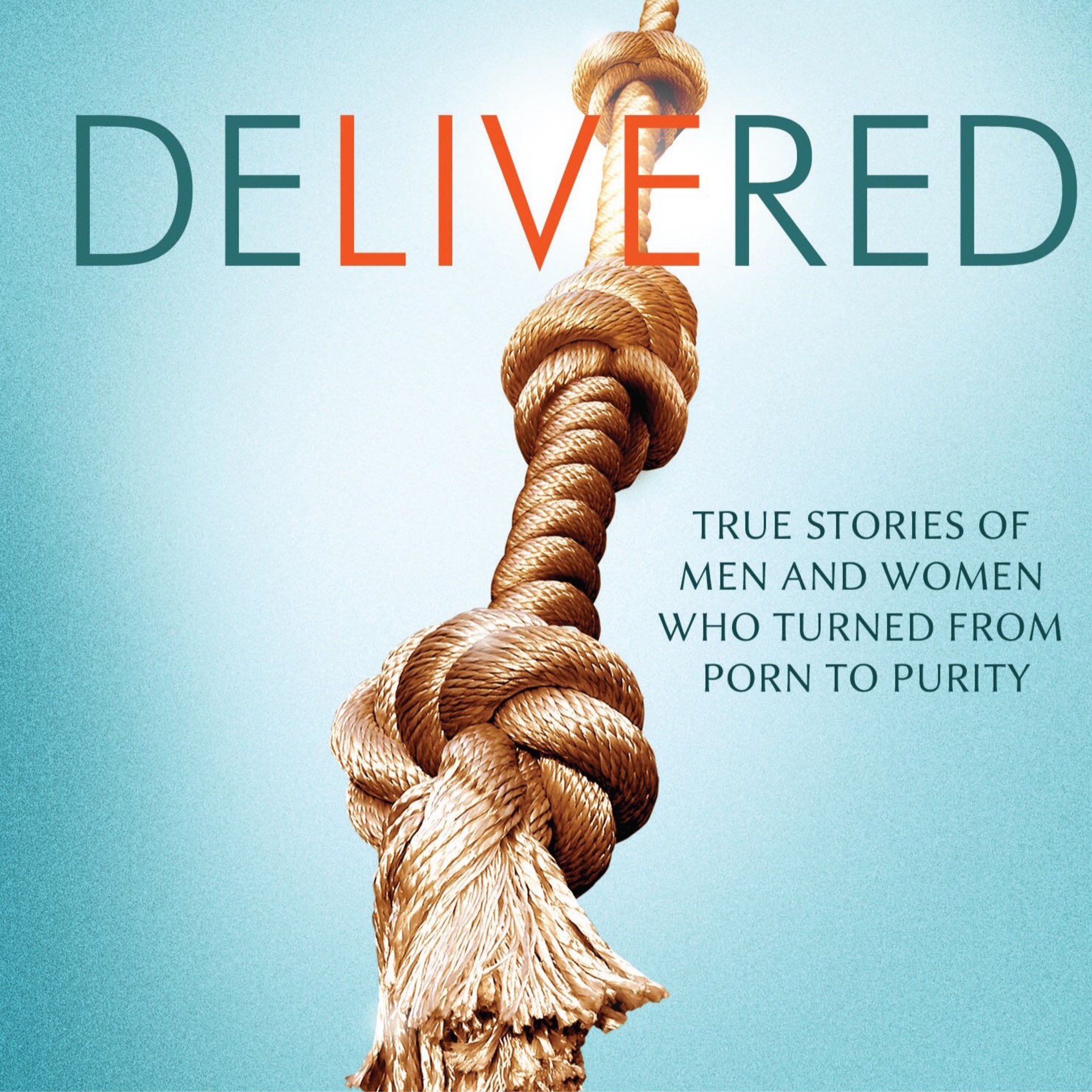 Delivered: True Stories Of Men And Women Who Turned From Porn To Purity