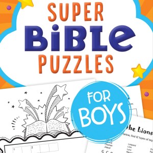 Super Bible Puzzles For Boys