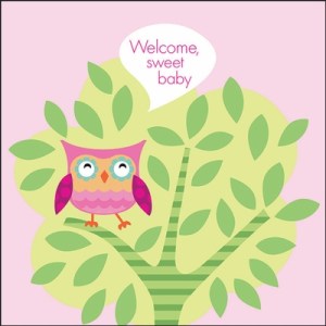 Welcome Sweet Baby Pink Owl Gift Enclosure Card WEN11 It Takes Two
