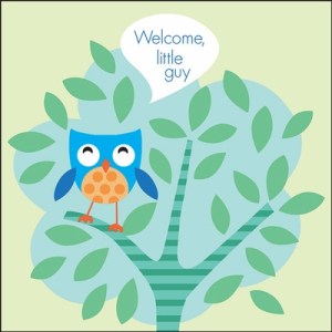 Welcome Little Guy Blue Owl Gift Enclosure Card WEN12 It Takes Two