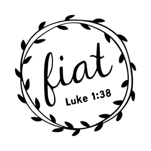 Fiat Auto Decal G4709