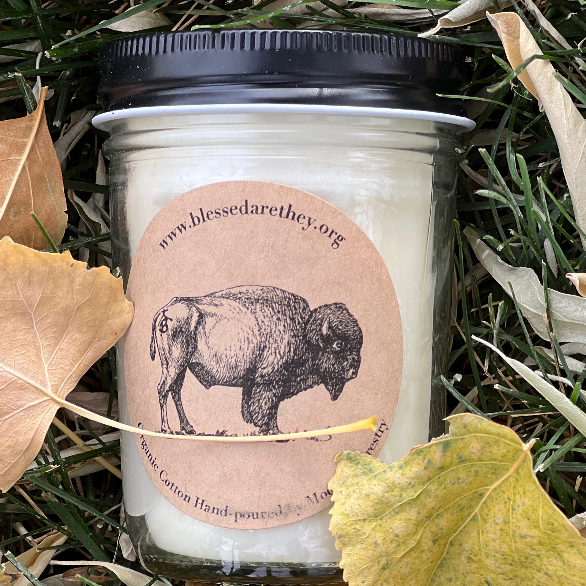 Nightfall Modern Forestry Soy Candle
