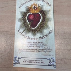 Surrender Novena Trifold Card  FOG SRNDR