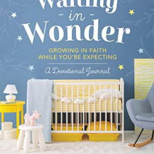 Waiting in Wonder: Growing in Faith While You're Expecting