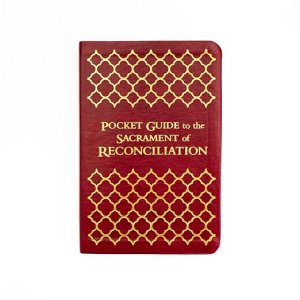 Pocket Guide to the Sacrament of Reconciliation by Schmitz  Mike and Johnson  Josh