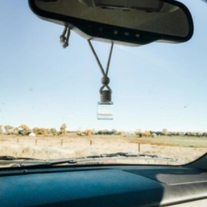 Wind & Sage Car Diffuser 0076