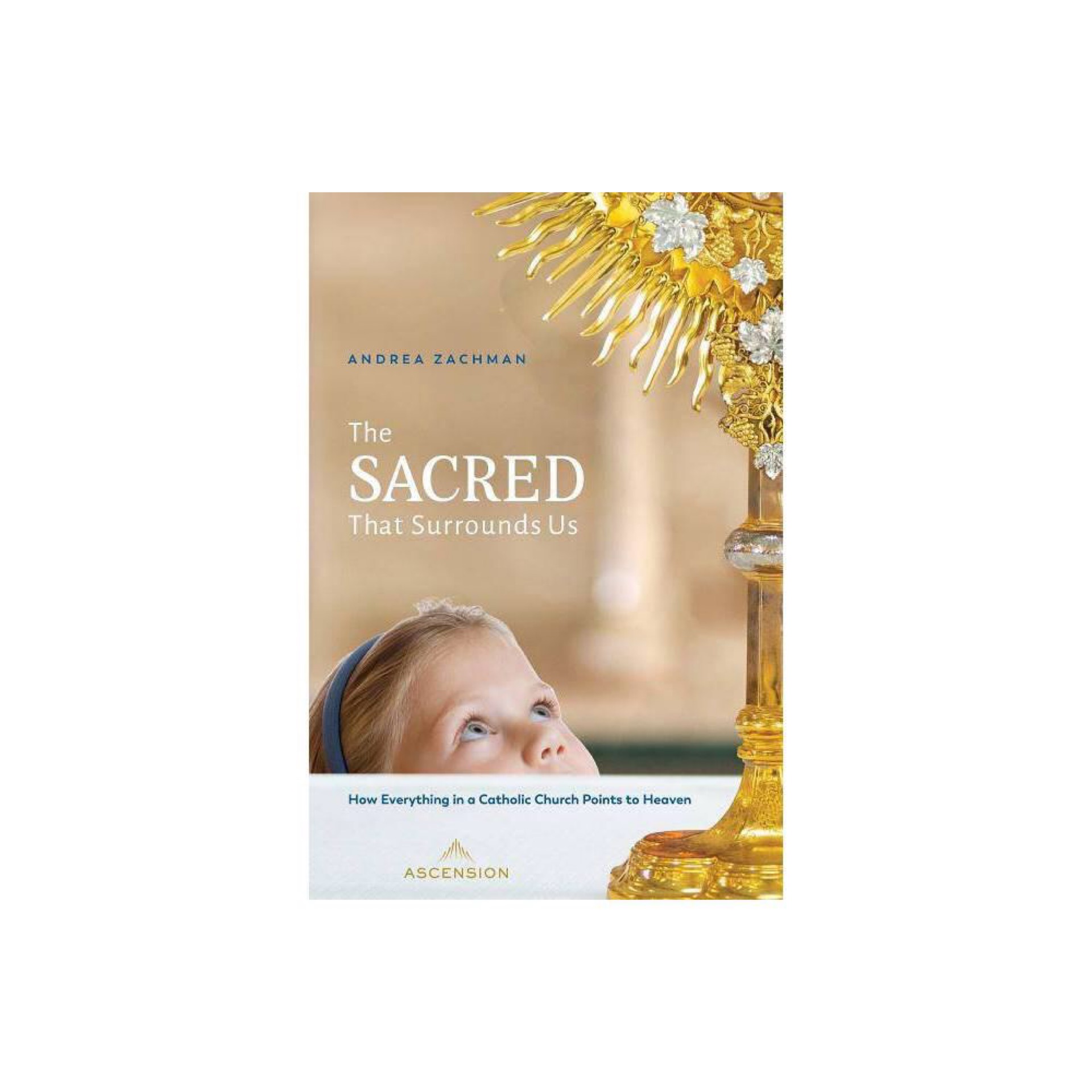The Sacred That Surrounds Us: How Everything in a Catholic Church Points to Heaven by Andrea Zachman