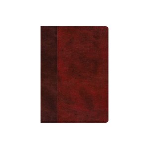 ESV Single Column Journaling Bible, Large Print (TruTone, Burgundy/Red, Timeless Design) by ESV Bibles