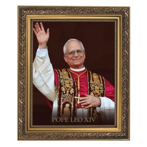 Framed Pope Leo Print 79-805