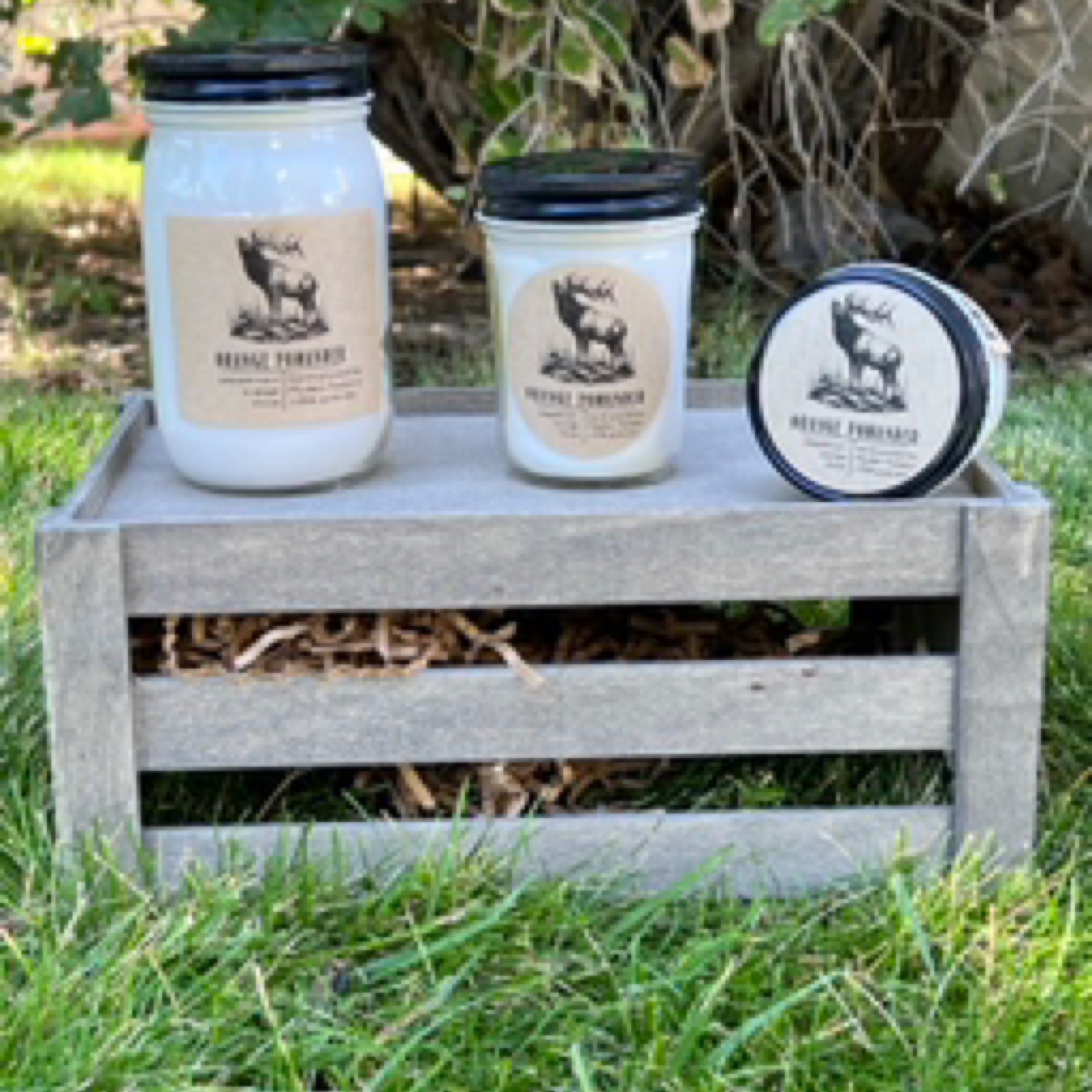 Autumn No. 9 Modern Forestry Candle