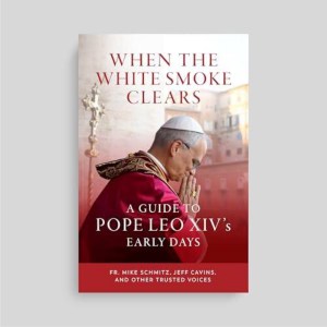 When the White Smoke Clears: A Guide to Pope Leo XIV ' S Early Days