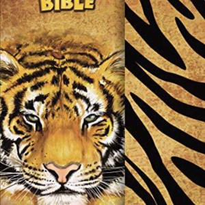 NKJV, Adventure Bible, Hardcover, Full Color, Magnetic Closure by Lawrence O. Richards