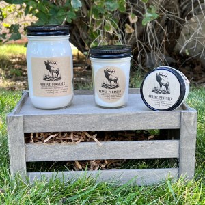 Snow Day Modern Forestry